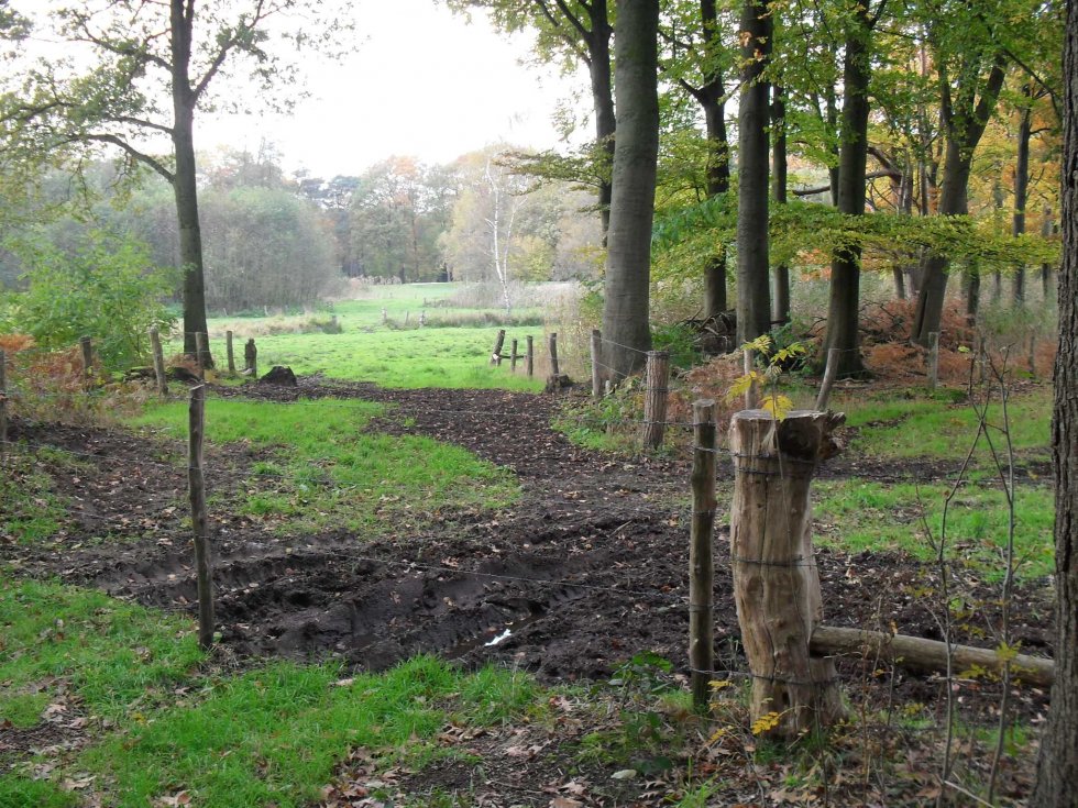 Wandeling Zegenwerp Sint-Michielsgestel